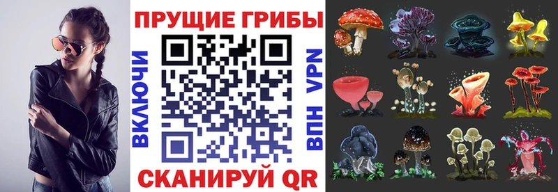 Галлюциногенные грибы прущие грибы Тобольск