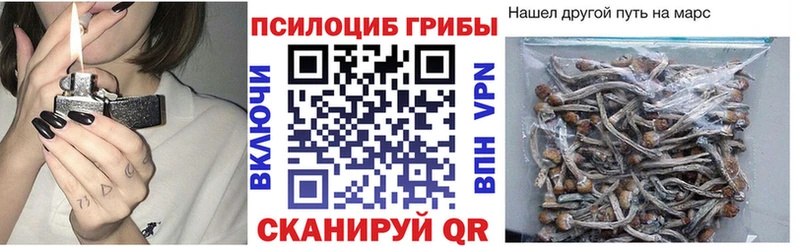 Псилоцибиновые грибы мицелий что такое наркотик Тобольск